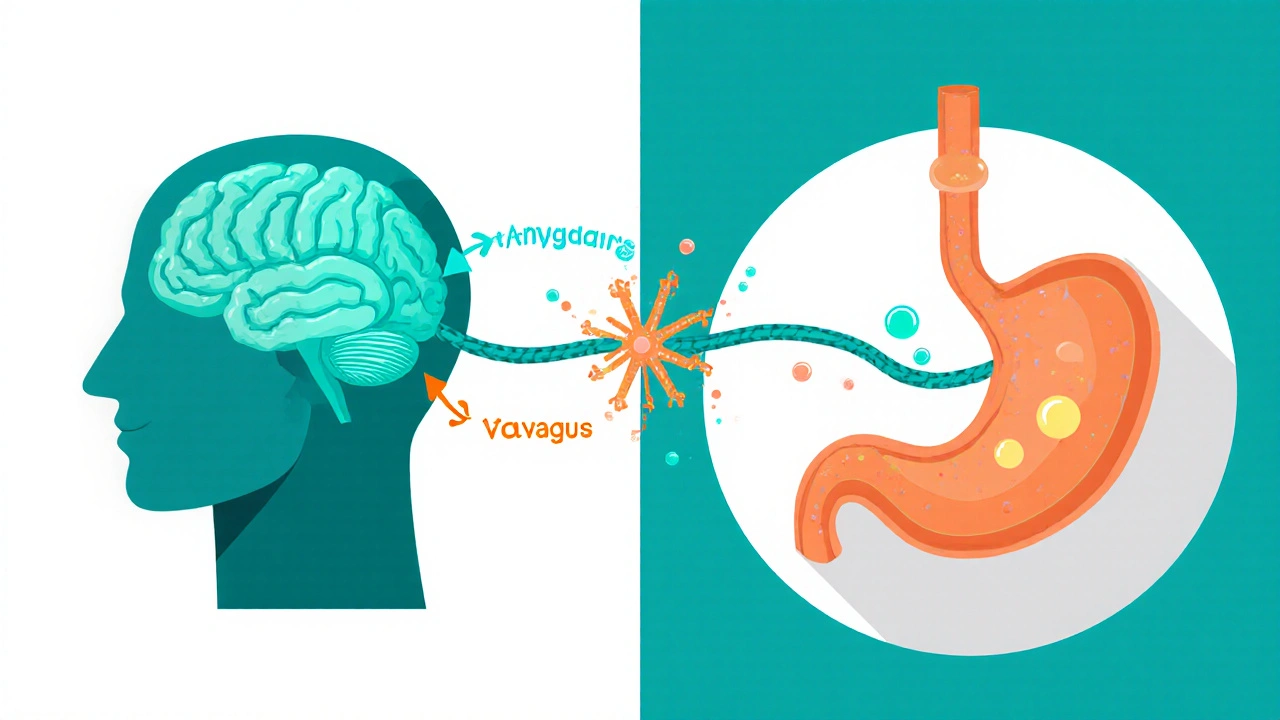 How Acid Indigestion Links to Anxiety: Causes & Relief